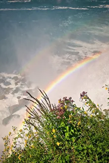 Falls Prints: New York, Niagara Falls, flora and rainbow