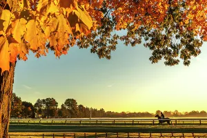 Rm277 Prints: New York, Saratoga Springs, horse racing