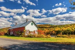 Grass Prints: New York State fall colors with barn, Cuddybackville
