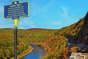 Tree Prints: New York State Fall Colors along Route 97