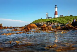 Harbor Prints: New York, Suffolk County, Long Island, Montauk
