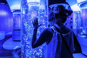 North Carolina, Outer Banks, Roanoke Island, Manteo, Aquarium