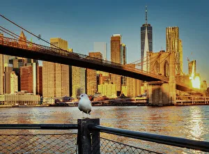 NY, NYC, Brooklyn Bridge with Financial District in the background