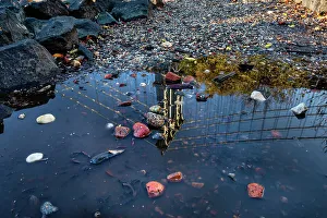 Rm302 Prints: NY, NYC, Brooklyn Bridge Park, Manhattan Bridge reflection