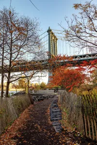 Rm302 Prints: NY, NYC, Brooklyn, Dumbo, Manhattan Bridge