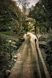 Lamp Prints: NY, NYC, Central Park