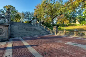 Tree Prints: NY, NYC, Central Park, Bethesda Terrace stairway
