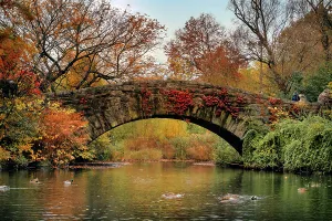Rm302 Prints: NY, NYC, Central Park, Gapstow Bridge, and Pond