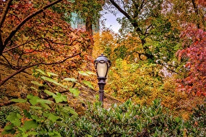 Images Dated 16th November 2021: NY, NYC, Central Park, Lamppost surrounded by colorful foliage