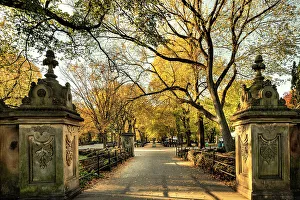 Foliage Prints: NY, NYC, Central Park Mall, path