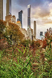 NY, NYC, Central Park, Midtown skyline