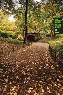 NY, NYC, Central Park, Path leading to Dipway Arch