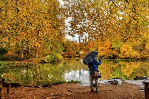 NY, NYC, Central Park, view of colorful foliage and Pond