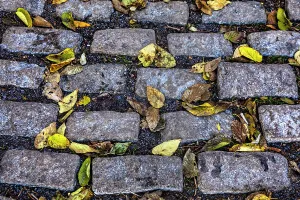 Inner City Prints: NY, NYC, Cobblestone street with autumn leaves