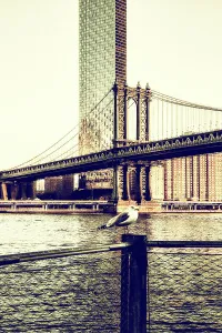Rm302 Prints: NY, NYC, Manhattan, One Manhattan Square and Manhattan Bridge