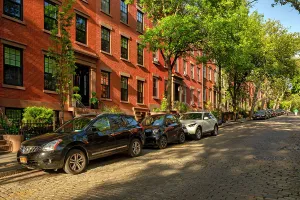 Tree Prints: NYC, Brooklyn, Brooklyn Heights, brownstones