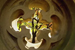 NYC, Manhattan, Central Park, Detail of Dalehead Arch During Fall