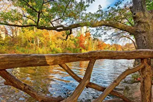 Tree Prints: NYC, Manhattan, Central Park, Wagner Cove During Autumn
