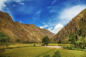 Tree Prints: Peru, Sacred Valley, Scene of Crop Fields