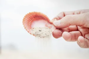 Seashell Prints: Pouring sand with seashell