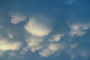 White Prints: Puffy clouds