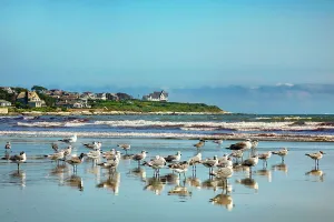 Atlantic Prints: Rhode Island, Newport, Easton Bay waterfront viewed from Atlantic beach