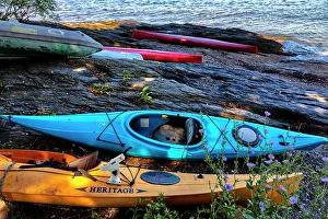 Kayaking Prints: Rhode Island, Newport, kayaks on grass