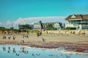 Hotel Prints: Rhode Island, Newport, Scene at Atlantic beach