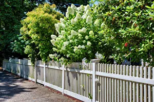 Faade Prints: Rhode Island, Newport, Typical fence and garden