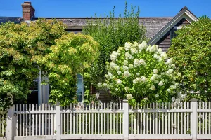 Faade Prints: Rhode Island, Newport, Typical house facade with garden