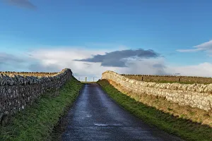 Highlands Region Prints: Scotland, Highlands, road