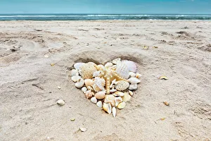 Love Prints: Seashells arranged in heart shape on beach
