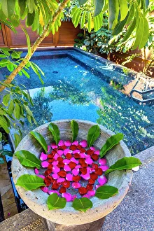 Center Prints: Serene pool scene