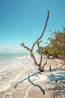 Sbs Florida 02 Prints: Southwest Florida, Gulf of Mexico, Sanibel, beach scene