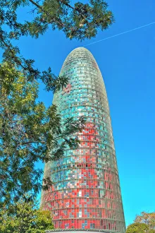 Tree Prints: Spain, Barcelona, Torre Agbar
