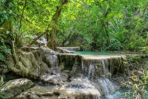 Tree Prints: Thailand, Kanchanaburi, Erawan waterfall