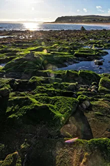 Sunsetting Prints: UK, Scotland, Balintore, Beach landscape