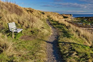 Path Prints: UK, Scotland, Balintore, grassland trail and bench with a view