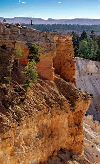 National Park Prints: United States, Utah, Bryce Canyon National Park