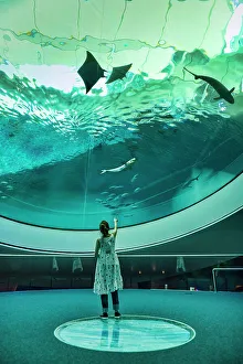 Fish Prints: USA, Florida, Aquarium at the Frost Art Museum