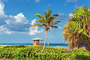 Palm Beaches Prints: USA, Florida, Delray Beach