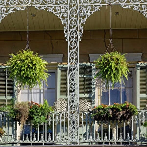 Images Dated 8th March 2021: USA, Louisiana, New Orleans, typical wrought iron house, French Quarter architecture
