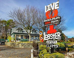 Eatery Prints: USA, Maine, Ogunquit, Beach Plum Farm TAKE OUT