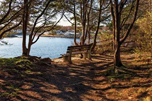 Walk Way Prints: USA, Maine, Ogunquit, Marginal Way Trail