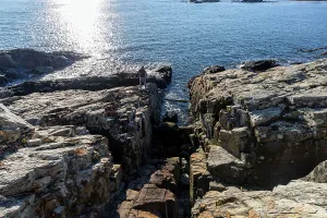 Path Prints: USA, Maine, Ogunquit, Marginal Way Trail Scenery