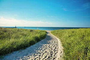 Long Island Prints: USA, New York, Montauk, Long Island, sand path with green grass on both sides, Gin Beach