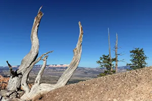 National Park Prints: Utah, Beautiful Landscape at Bryce Canyon National Park