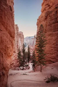 Utah, Colorado Plateau, Bryce Canyon National Park