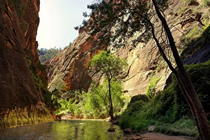Location Prints: Utah, Zion National Park The Narrows