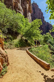 Location Prints: Utah, Zion National Park Riverside Walks